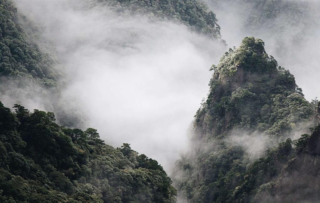 Unwavering Faith: Robert, Minnie, and Margaret Jaffray by Louise Green