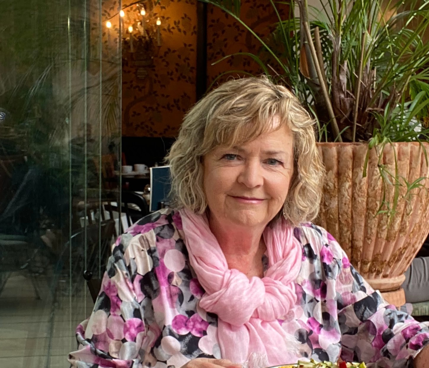 The Alliance Canada Logo